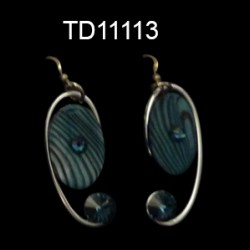 TD11113