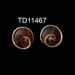 TD11467