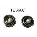 TD6666