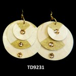 TD9231