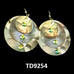TD9254