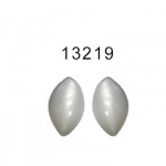 13219