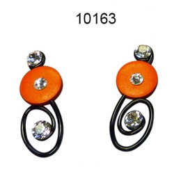 10163