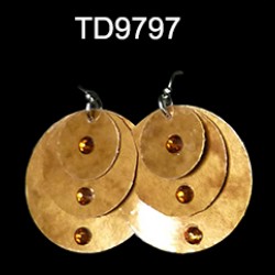 TD9797