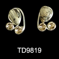 TD9819